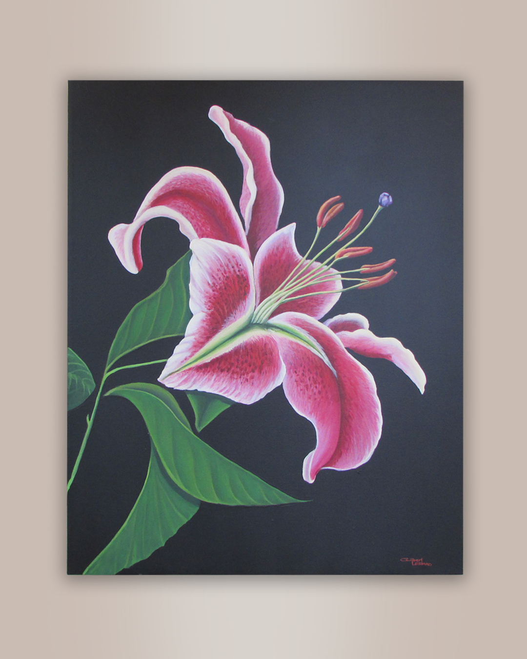 Pink Tiger Lily mardenart gallery